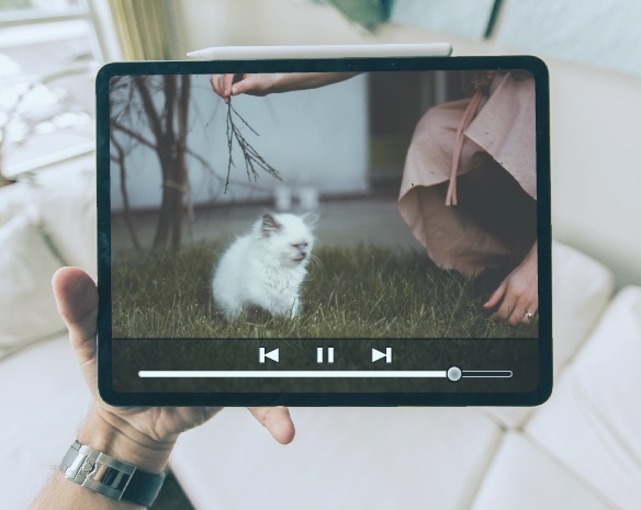 watch videos on any device